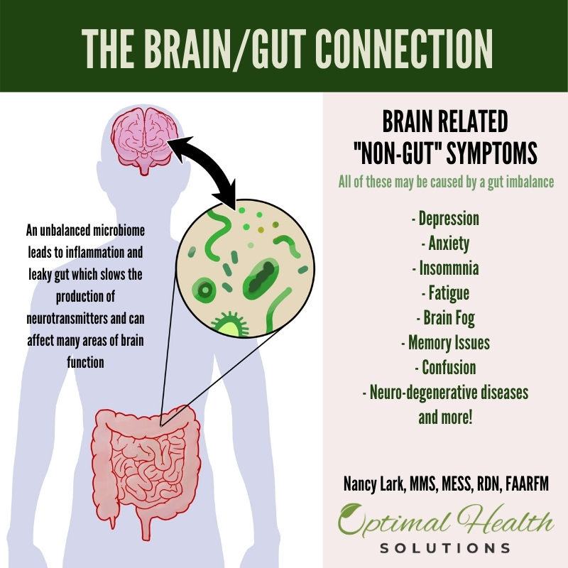 gut health and mental health